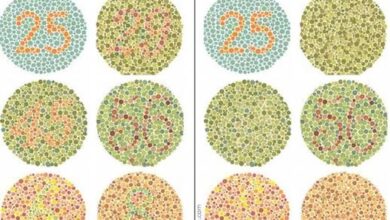 Why you need to know the science behind accessible colour design