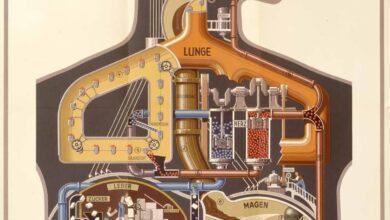 Man as Industrial Palace: Watch an Animation of the Famous 1926 Lithograph That Depicts the Human Body as a Modern Factory