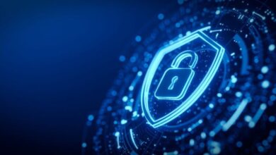 Secure Your Software: 10 Steps To Lock It Down Before Launch