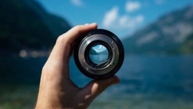 Leadership in Volatile Circumstances | Saffron Interactive